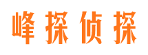 凤县私家调查公司